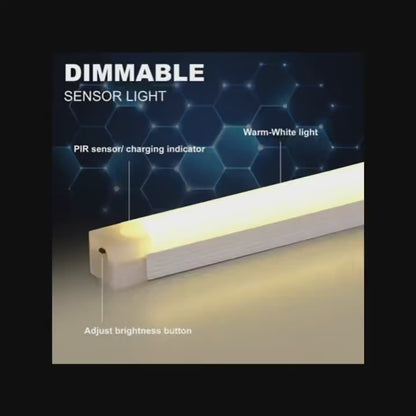 LUZ LED CON SENSOR DE MOVIMIENTO, 30 CMS
